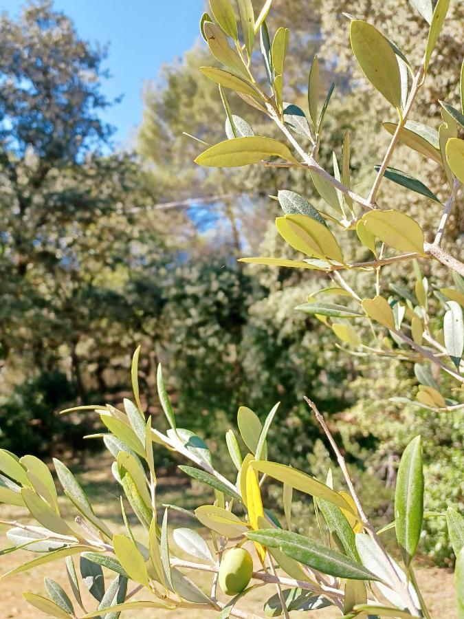 Studio Avec Jardin Entre Aix-En-Provence, Luberon Et Verdon Peyrolles-en-Provence Zewnętrze zdjęcie