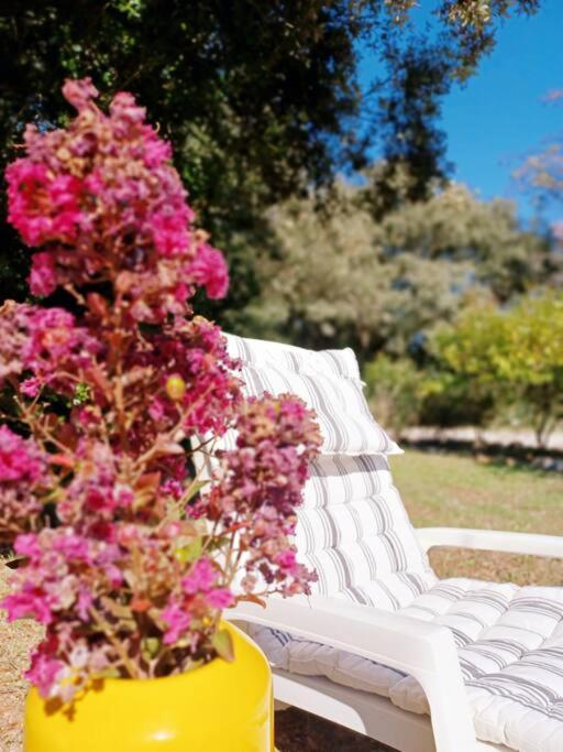 Studio Avec Jardin Entre Aix-En-Provence, Luberon Et Verdon Peyrolles-en-Provence Zewnętrze zdjęcie